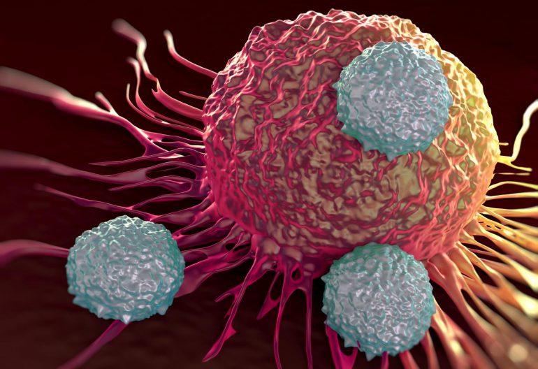 linfocitos T (gris) atacan una célula cancerosa