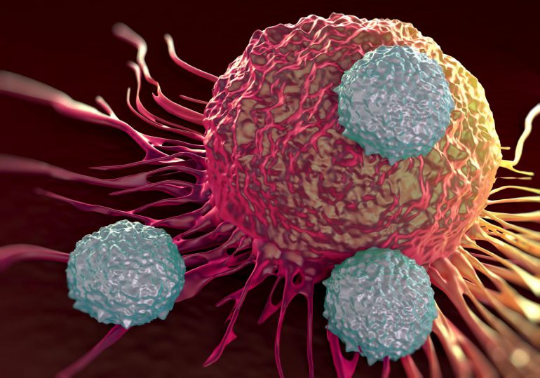 linfocitos T (gris) atacan una célula cancerosa